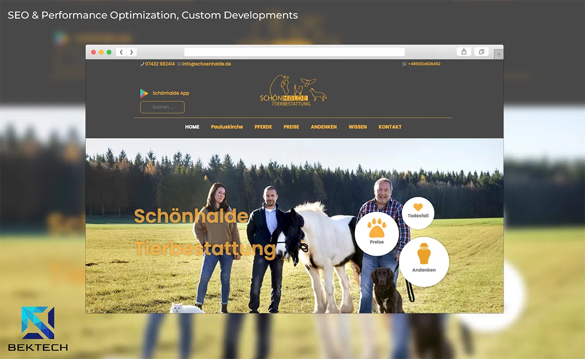 Schonhalde Case Study